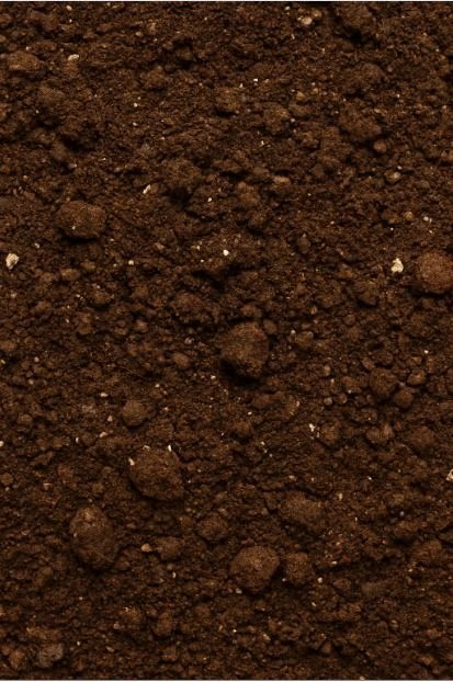 Toprak karışımı detay